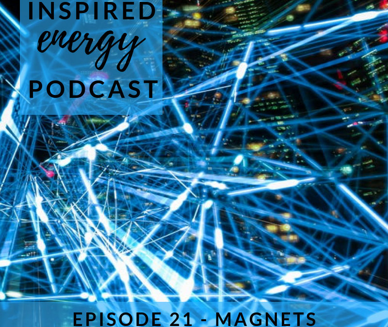 Episode 21 – Murray Guest | Magnets, learning & change